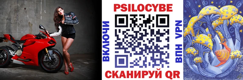 ссылка на мегу как войти  купить закладку  Кстово  Галлюциногенные грибы мицелий 